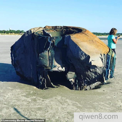南卡罗来纳州的海滩上出现了一个像是ufo的神秘物体?