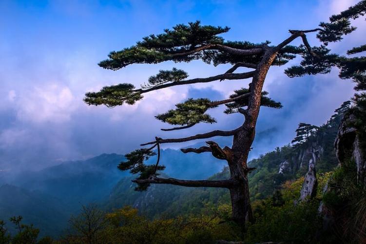 六安的美,不仅是珍稀美景,更是千年文化|六安市|安徽