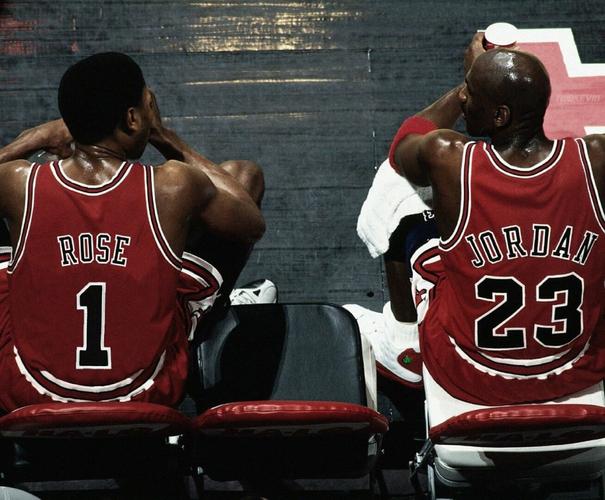 风城玫瑰——罗斯高清壁纸,值得收藏