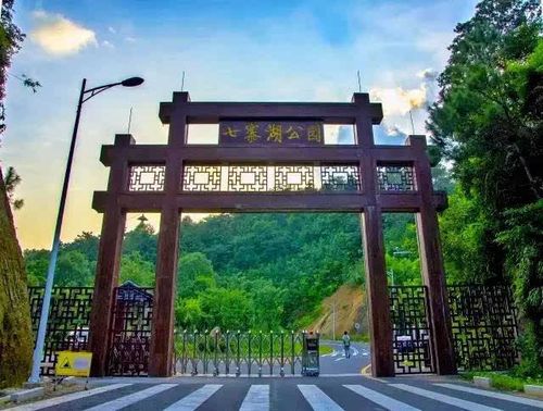 公园内 门票:40元/张 交通:无公交可达,建议自驾游或滴滴 河源文化