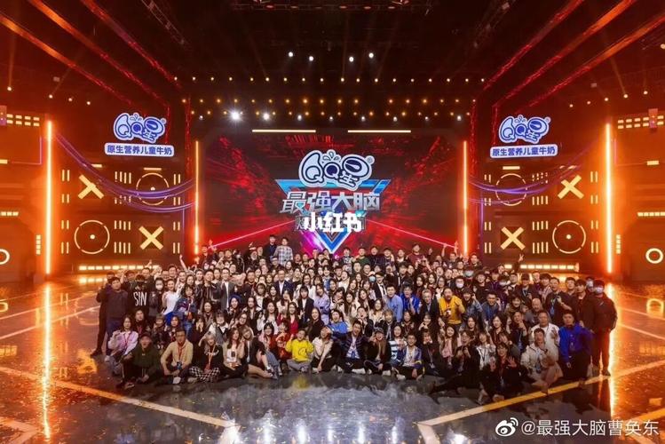 最强大脑第九季完美收官啦!