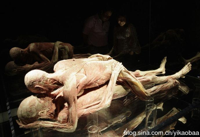 世界人体解刨博物馆