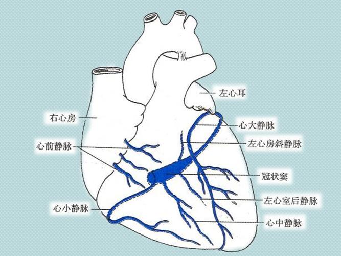 冠状静脉窦无顶综合征.ppt