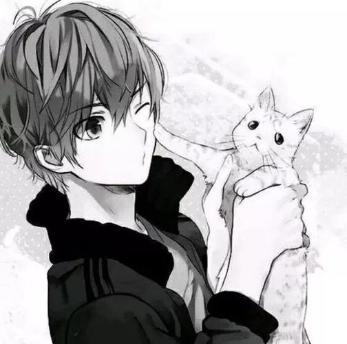 「少年与猫」