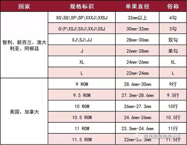 上图表格中规格标识的字母g,p,s,x,j,l 含义如下: 代表车厘子颜色的