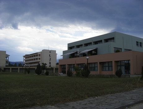 约阿尼纳大学