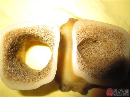 佩戴虎骨有什么好处:如何鉴别虎骨:到底是不是"虎骨" "虎鞭"
