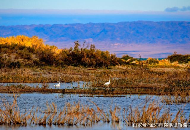 福海县乌伦古湖黄金海岸景区秋景如画
