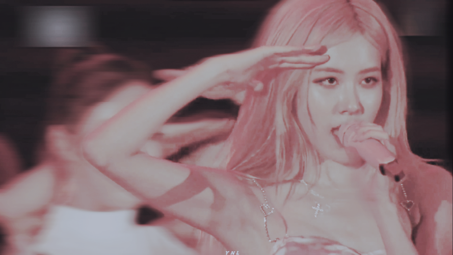 rose - 堆糖,美图壁纸兴趣社区