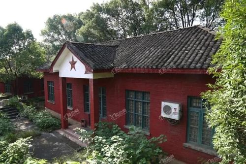 郴州楼市 楼盘导购八十年代之后,许家洞片区许多人家里都接通了地下