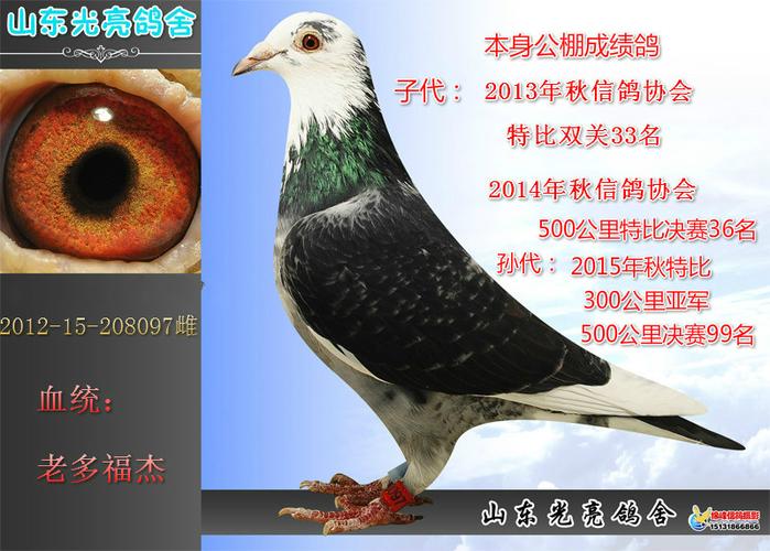 老多福杰