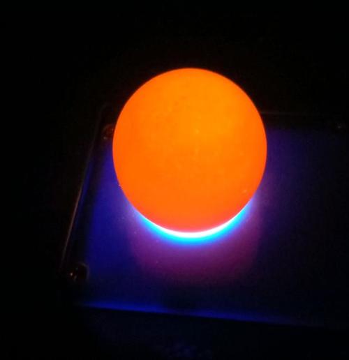 孵化小鸡第七天照蛋过程