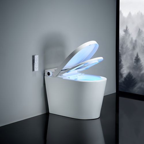 马桶家用一体式全自动翻盖坐便器静音节水遥控座便小户型  恒洁卫浴