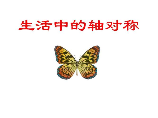 1生活中的轴对称3ppt_word文档免费下载_文档大全