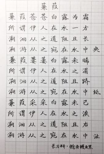 诗经《蒹葭》钢笔字笔友习作欣赏