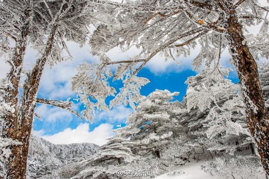 大理苍山雪景看醉游人 似冰封"水晶世界"