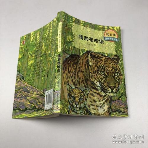 沈石溪激情动物小说 情豹布哈依