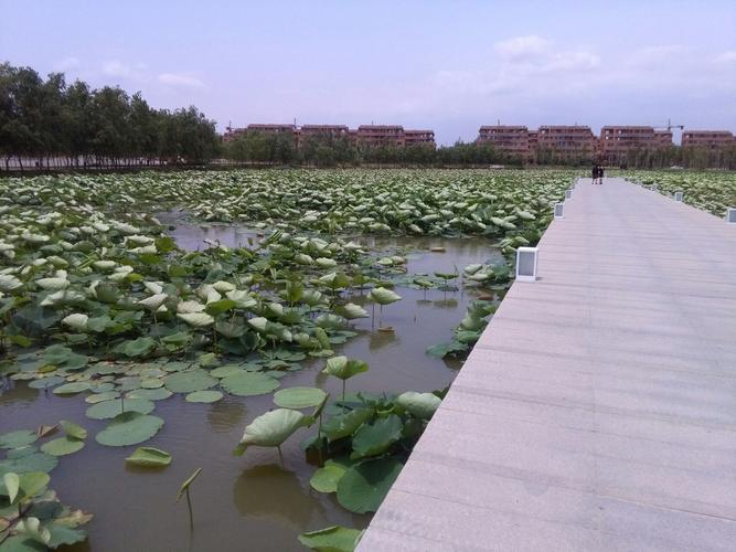 五莲白鹭湾现场