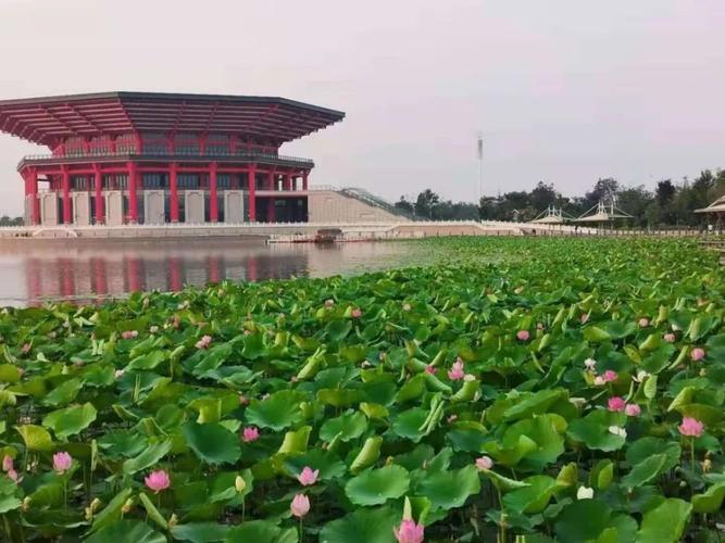 地址 曹县黄河故道湿地风景区 山东省菏泽市曹县c680 郓城南湖公园 "