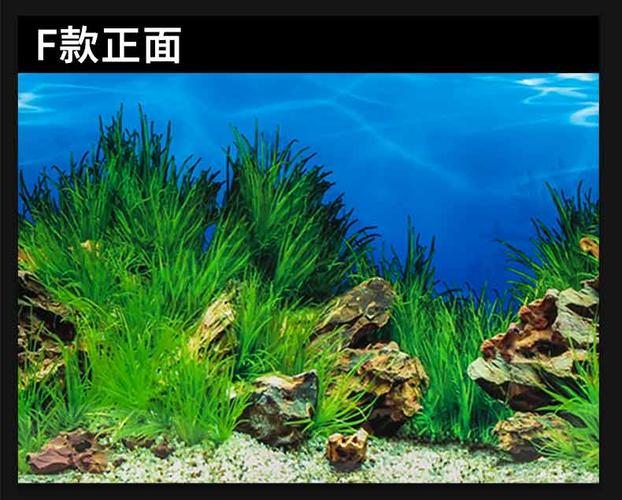 疯狂水草鱼缸造景背景贴纸画墙壁纸外贴水族箱背景纸3d立体 高清 彩色