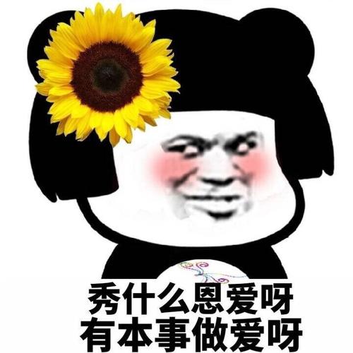 斗图必备表情包第11弹随机推荐关注公众号,超多表情包每日更新