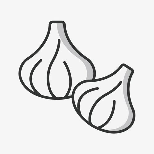 蒜苗简笔画手抄报