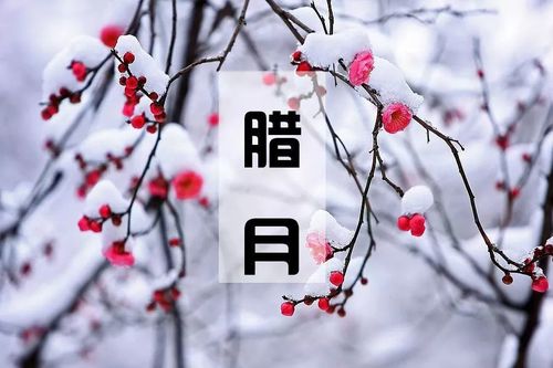 【腊月】进了腊月就是年!