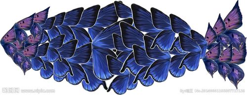 解构重组 鱼图片