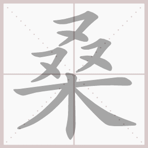 桑怎么读桑怎么读音桑的拼音