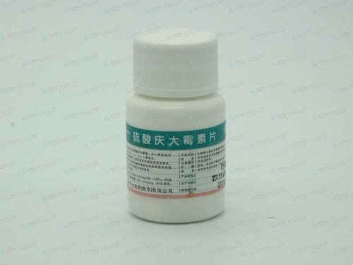 硫酸庆大霉素片(平光)