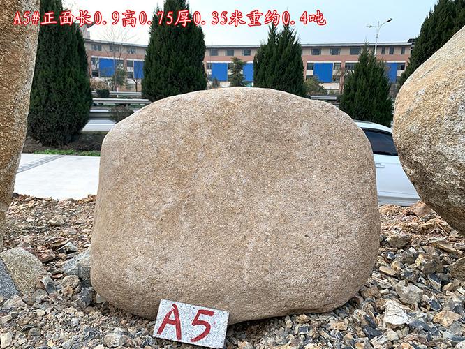 天然水冲石 小型刻字石景观石点石 原石 a5