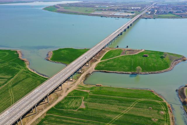 江苏洪泽:初春麦田美如画