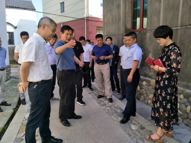 浙江省农办副主任严杰赴衢江调研乡村产业振兴