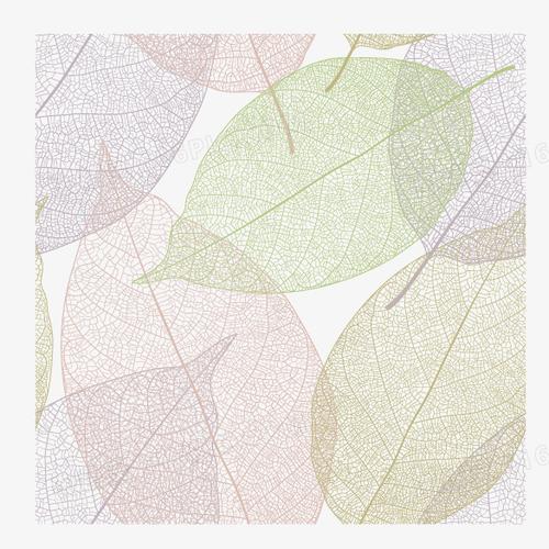 清新叶子纹路底纹