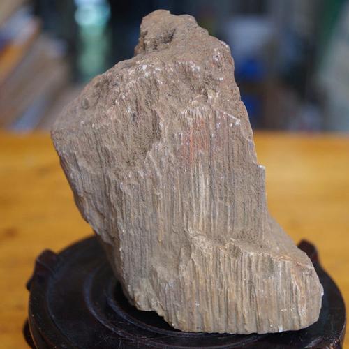 福建宝石轩 - 树化石 木化石原石 水冲木化石 奇石小摆件 精品小石头