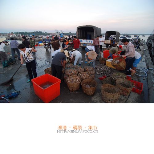 渔港·码头·集市[完结篇]