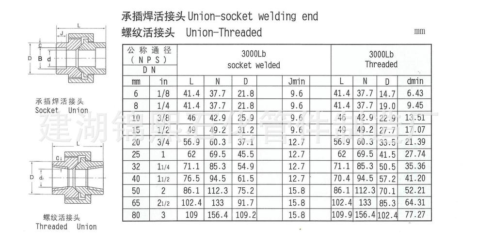 防爆密封活接头 锻制碳钢承插活接头