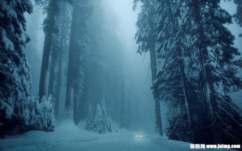 雪地树林风光