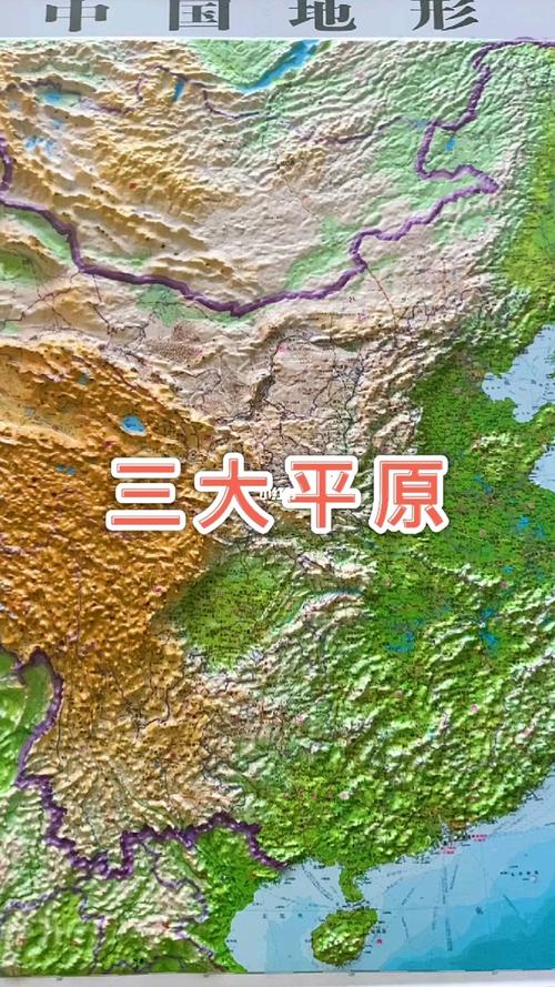 三大平原主要由东北平原,华北平原,长江中下游平原组长成,都是中国