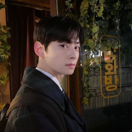 韩国艺人车银优sns发照提醒粉丝准时收看《女神降临》