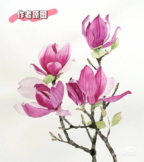 09玉兰花水彩打卡._水彩_玉兰花_上色_春天去哪玩