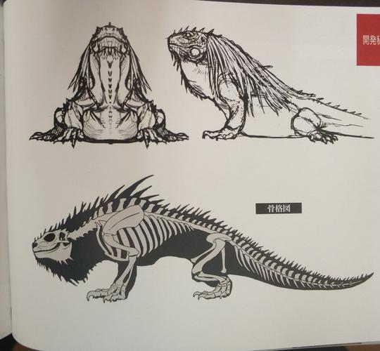 【怪猎生态学】大凶豺龙:妻妾成群的人生赢家