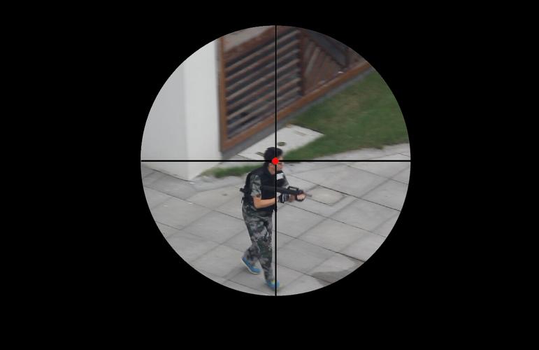 请教各位视频制作达人:怎么在视频中加如图狙击镜视角的特效?