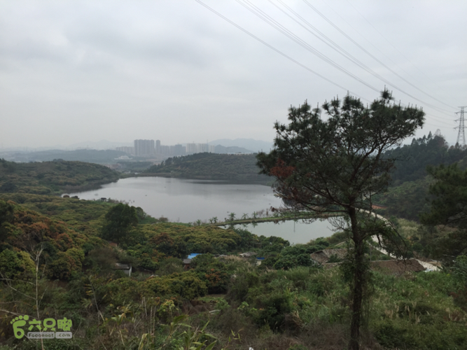 lickyip跑跑南香山2015-03-27 12:08:07