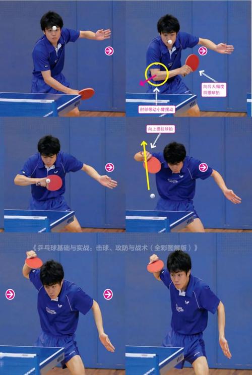 实战发球套路多,正反手发上旋球图文讲解!-乒乓国球汇
