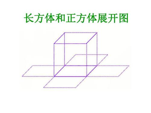 第二讲长方体和正方体展开图