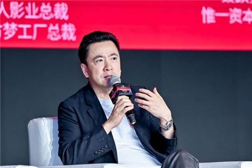 华谊兄弟王中磊