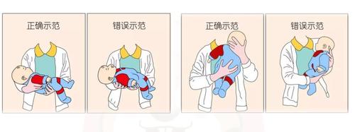 工作鼬教您正确的新生儿抱资睡姿调整