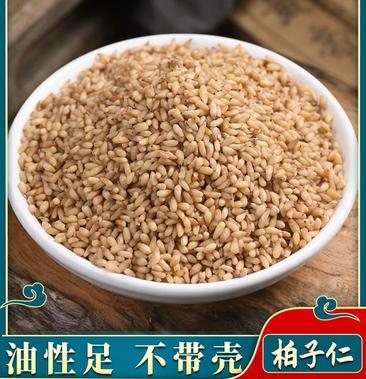 柏子仁去壳精品净货批发各种中药材