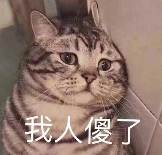 表情包我人傻了
